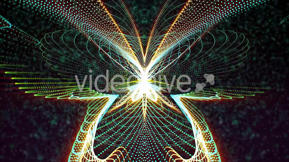 Butterfly Particles Videohive 19832813 Motion Graphics Image 3