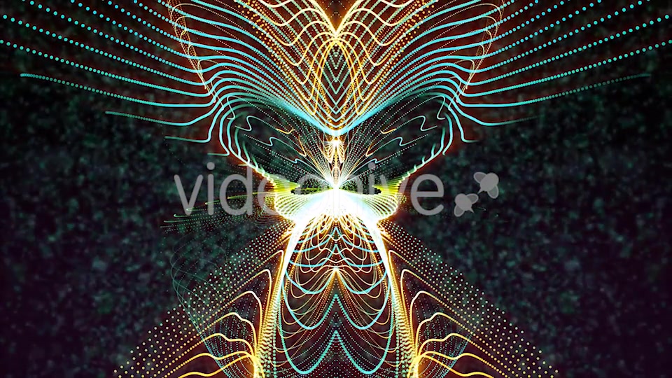 Butterfly Particles Videohive 19832813 Motion Graphics Image 4