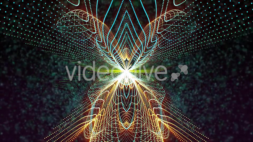 Butterfly Particles Videohive 19832813 Motion Graphics Image 5