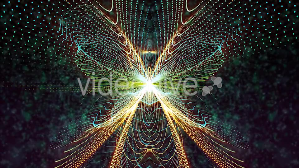 Butterfly Particles Videohive 19832813 Motion Graphics Image 6