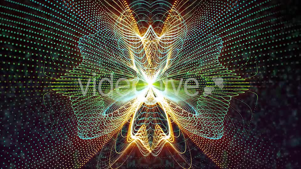 Butterfly Particles Videohive 19832813 Motion Graphics Image 7