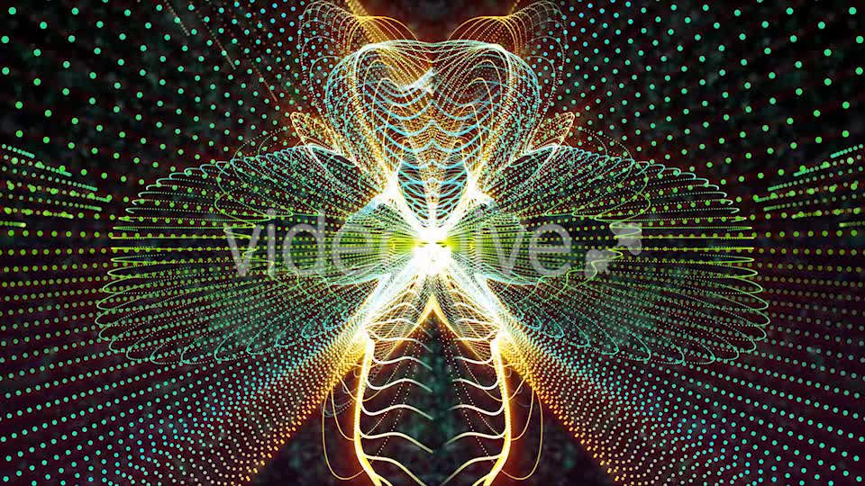 Butterfly Particles Videohive 19832813 Motion Graphics Image 8