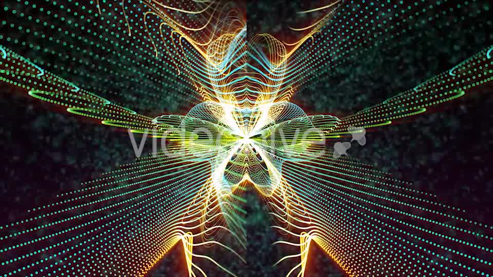 Butterfly Particles Videohive 19832813 Motion Graphics Image 9