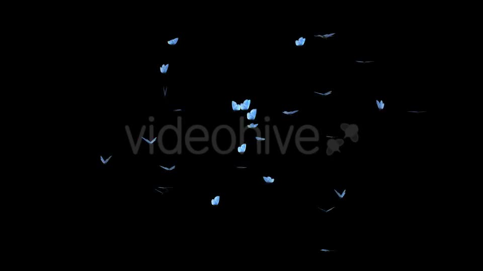 Butterfly Swarm Blue Adonis Videohive 19746100 Motion Graphics Image 1