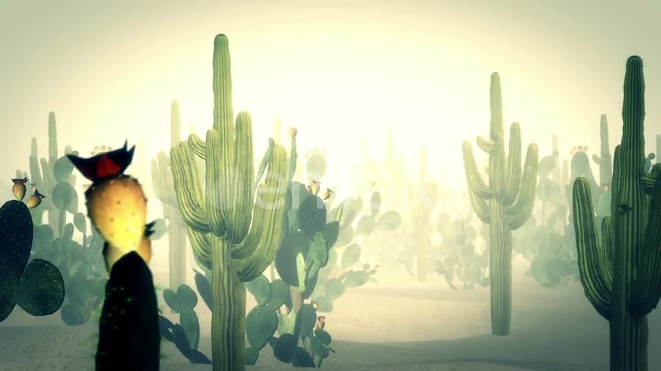 Cactus Land Hd Videohive 23510415 Motion Graphics Image 2