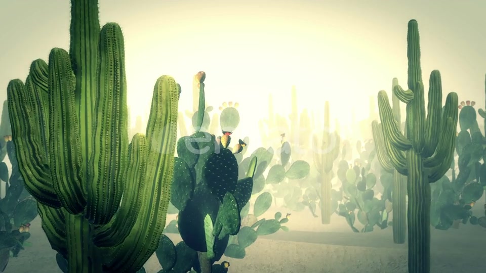 Cactus Land Hd Videohive 23510415 Motion Graphics Image 3