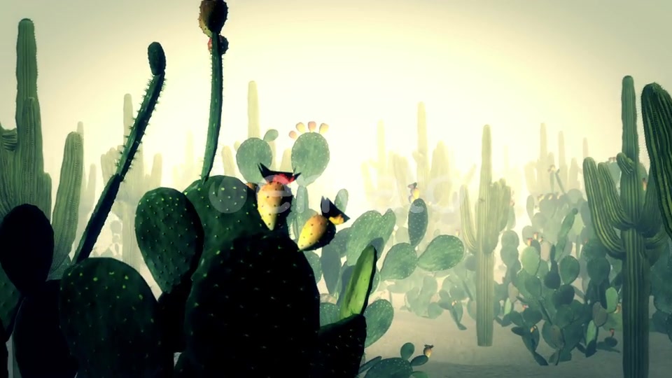 Cactus Land Hd Videohive 23510415 Motion Graphics Image 4