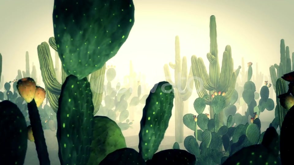 Cactus Land Hd Videohive 23510415 Motion Graphics Image 6