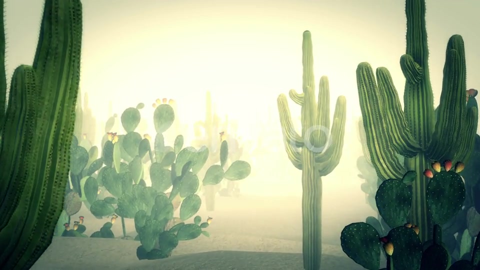 Cactus Land Hd Videohive 23510415 Motion Graphics Image 7