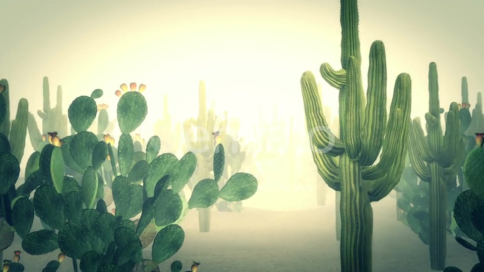Cactus Land Hd Videohive 23510415 Motion Graphics Image 8