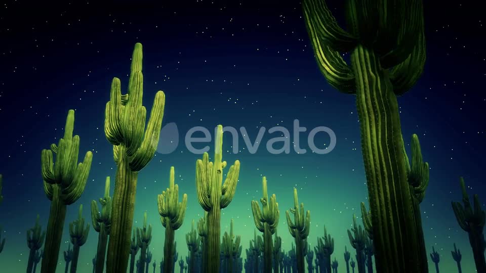 Cactus Nighttime 4k Videohive 23564650 Motion Graphics Image 1