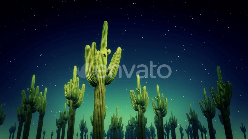 Cactus Nighttime 4k Videohive 23564650 Motion Graphics Image 2