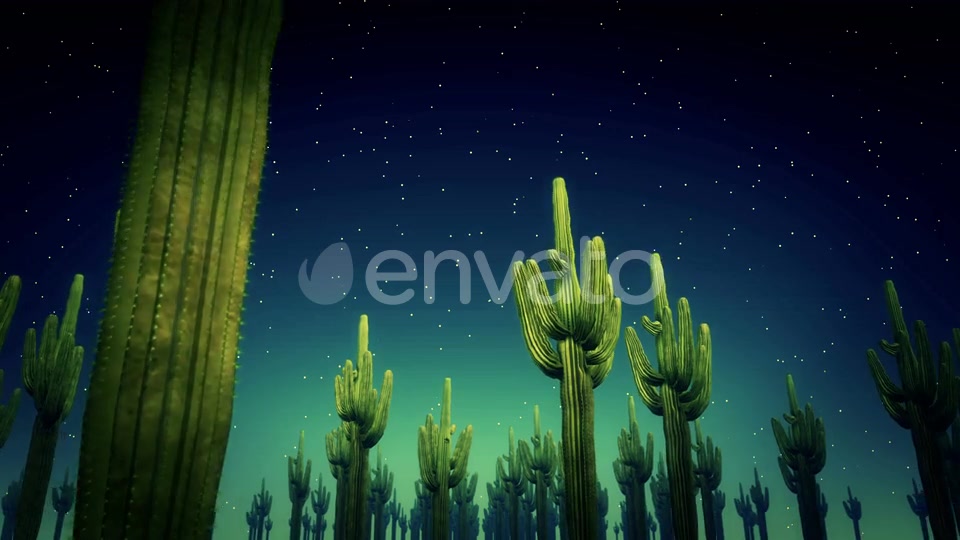 Cactus Nighttime 4k Videohive 23564650 Motion Graphics Image 3