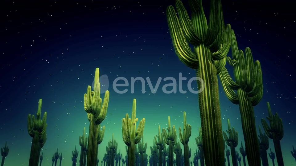 Cactus Nighttime 4k Videohive 23564650 Motion Graphics Image 4