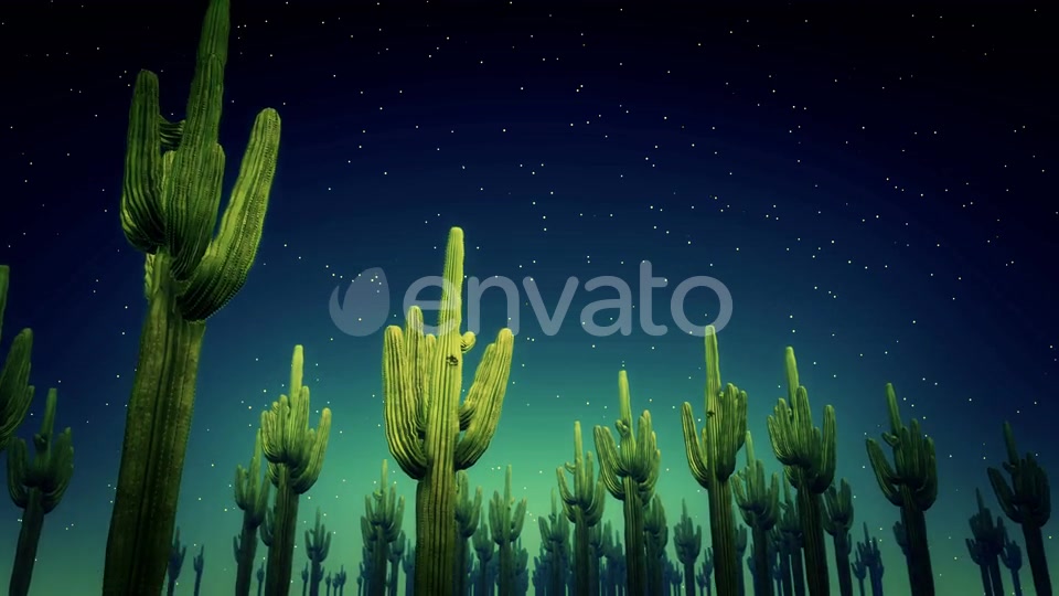 Cactus Nighttime 4k Videohive 23564650 Motion Graphics Image 5