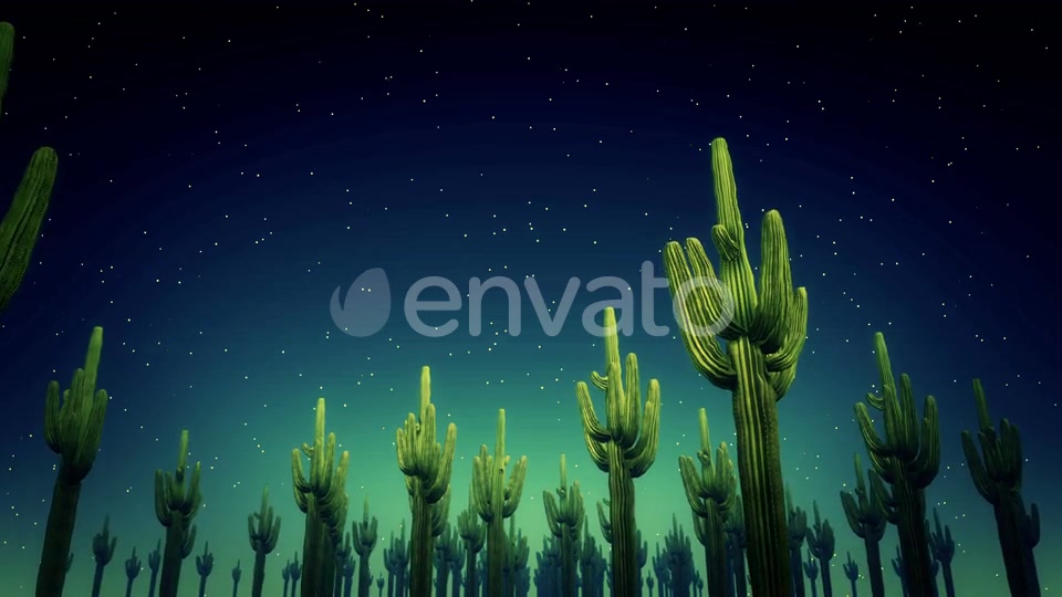 Cactus Nighttime 4k Videohive 23564650 Motion Graphics Image 7
