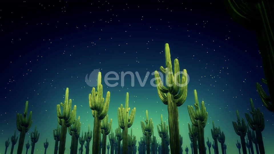Cactus Nighttime 4k Videohive 23564650 Motion Graphics Image 8