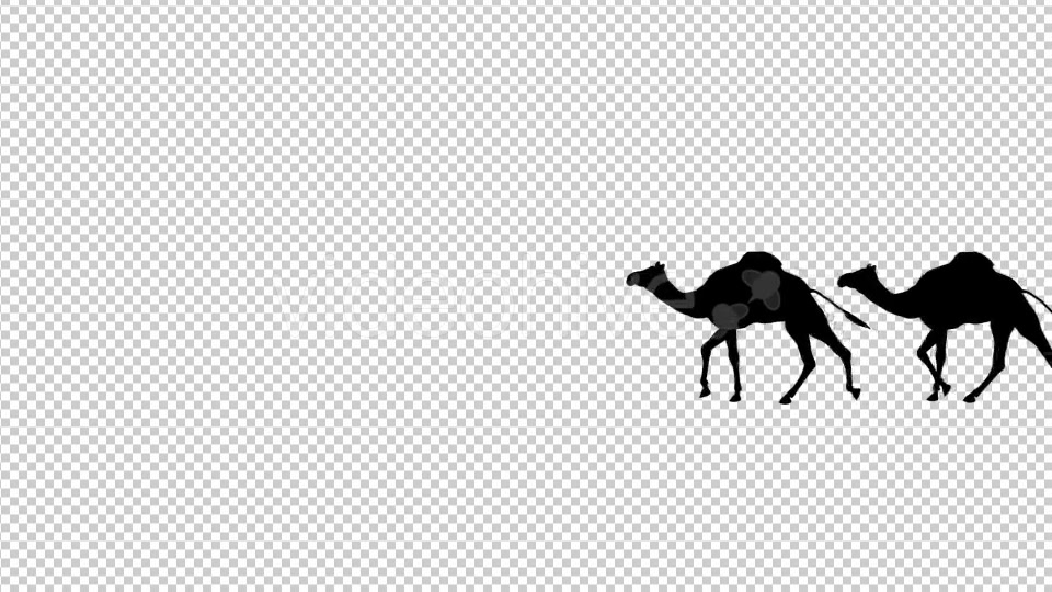 Camel Silhouettes Videohive 20514872 Motion Graphics Image 3