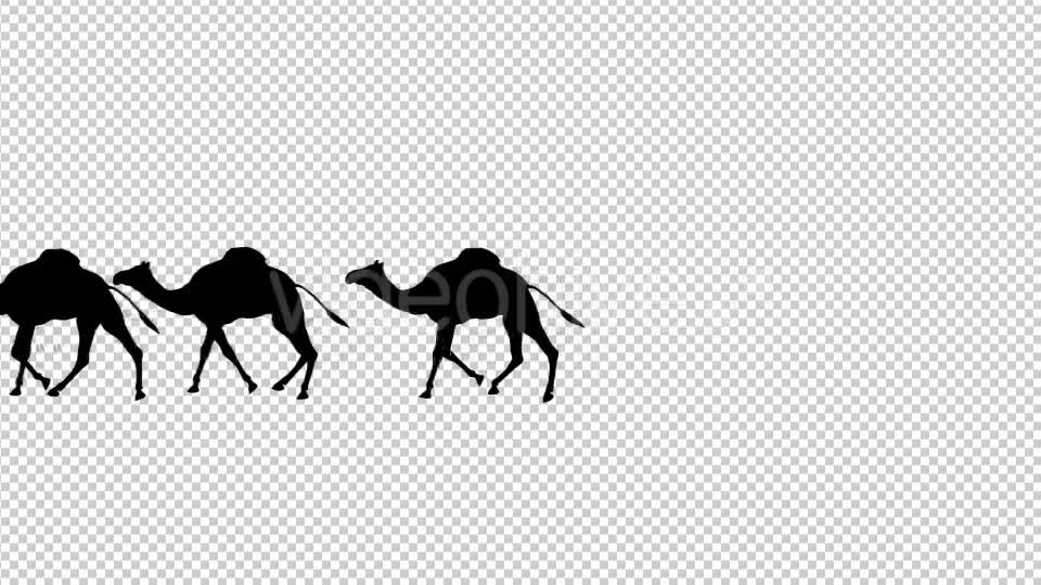 Camel Silhouettes Videohive 20514872 Motion Graphics Image 7