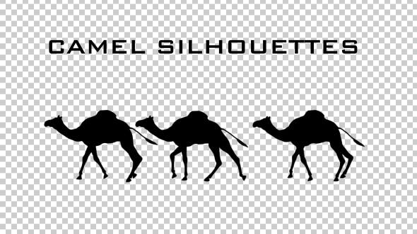 Camel Silhouettes - Videohive Download 20514872