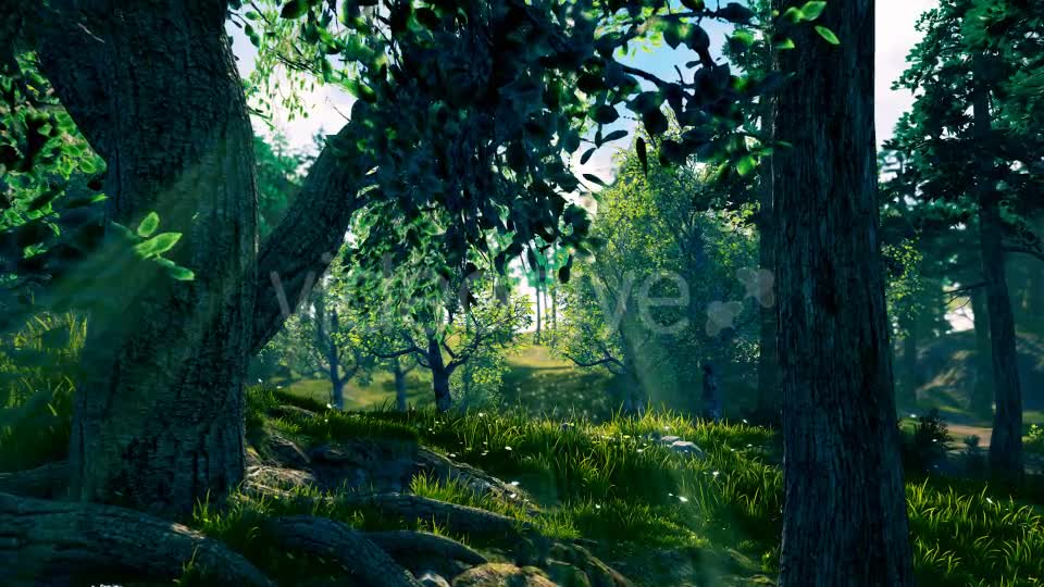 Camera Fly Through Forest Videohive 17129807 Motion Graphics Image 1