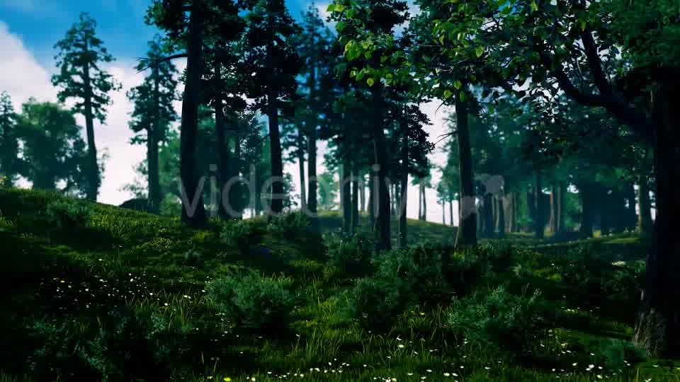 Camera Fly Through Forest Videohive 17129807 Motion Graphics Image 10