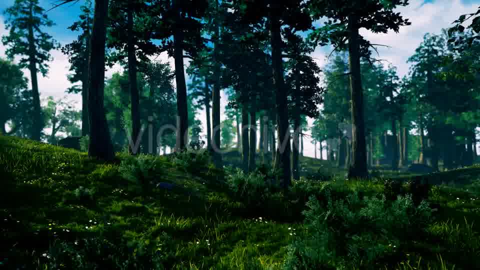 Camera Fly Through Forest Videohive 17129807 Motion Graphics Image 11