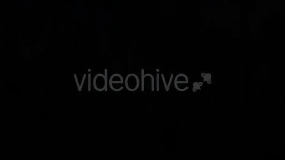 Camera Fly Through Forest Videohive 17129807 Motion Graphics Image 12
