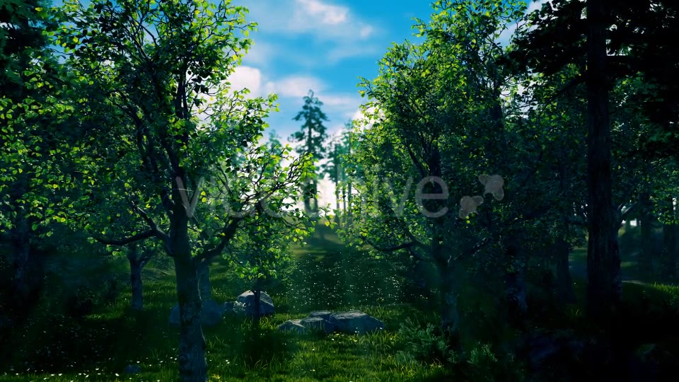 Camera Fly Through Forest Videohive 17129807 Motion Graphics Image 3
