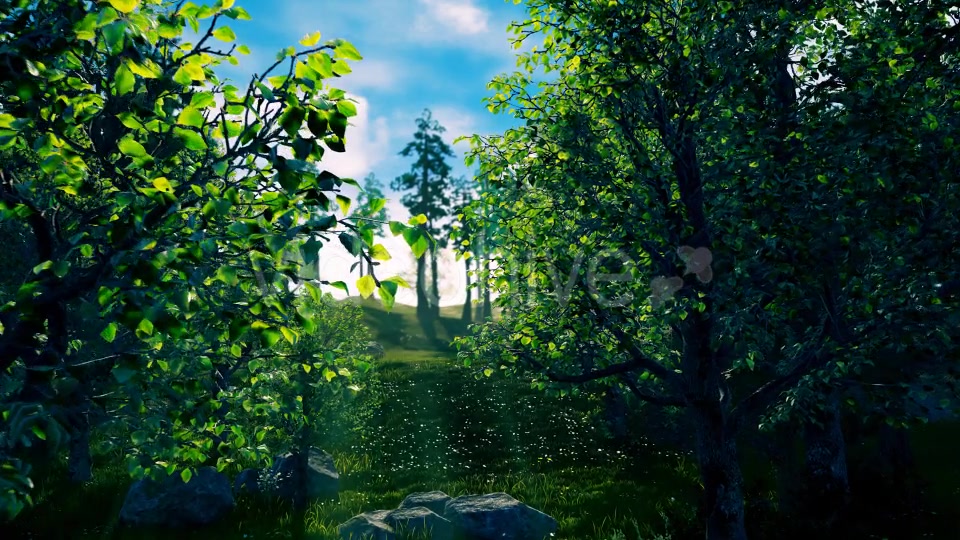 Camera Fly Through Forest Videohive 17129807 Motion Graphics Image 4