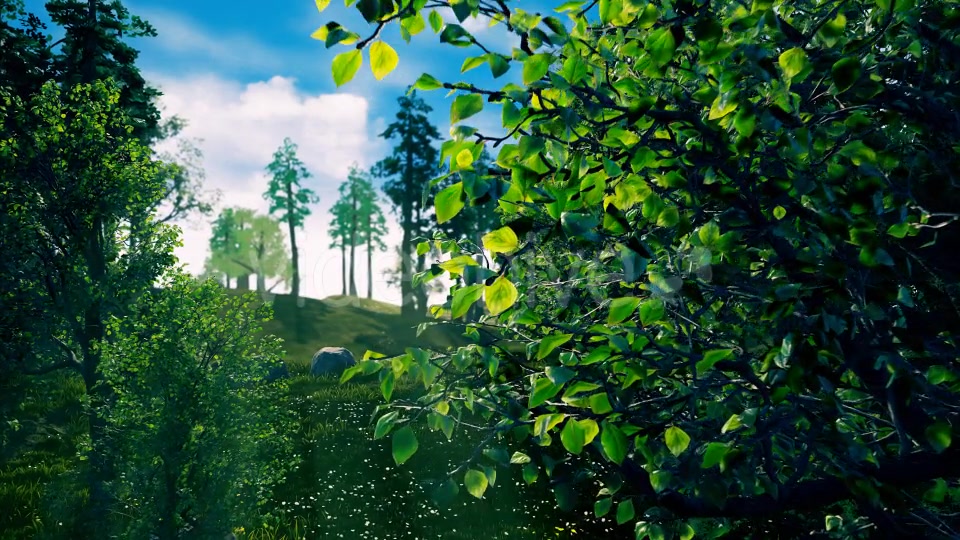 Camera Fly Through Forest Videohive 17129807 Motion Graphics Image 5