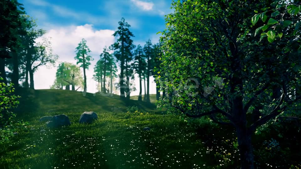Camera Fly Through Forest Videohive 17129807 Motion Graphics Image 6