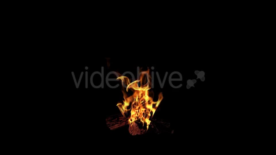 Campfire Videohive 18701740 Motion Graphics Image 1