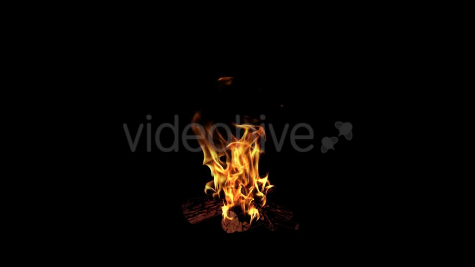 Campfire Videohive 18701740 Motion Graphics Image 3