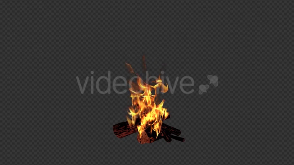 Campfire Videohive 18701740 Motion Graphics Image 4