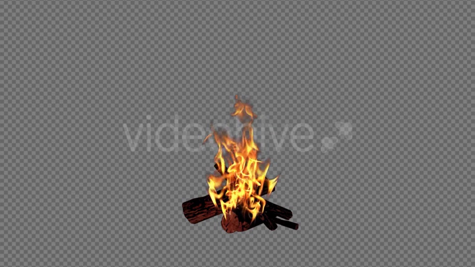 Campfire Videohive 18701740 Motion Graphics Image 5