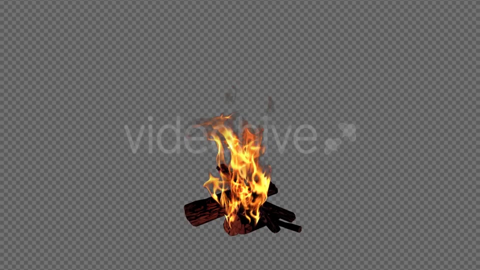 Campfire Videohive 18701740 Motion Graphics Image 6