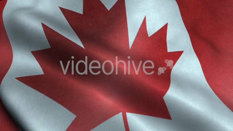 Canada Flag Videohive 20191826 Motion Graphics Image 6
