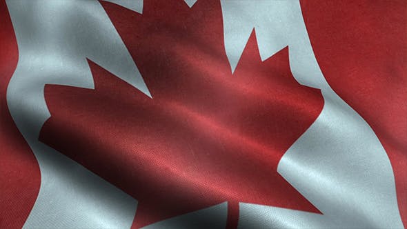 Canada Flag - Download 20191826 Videohive
