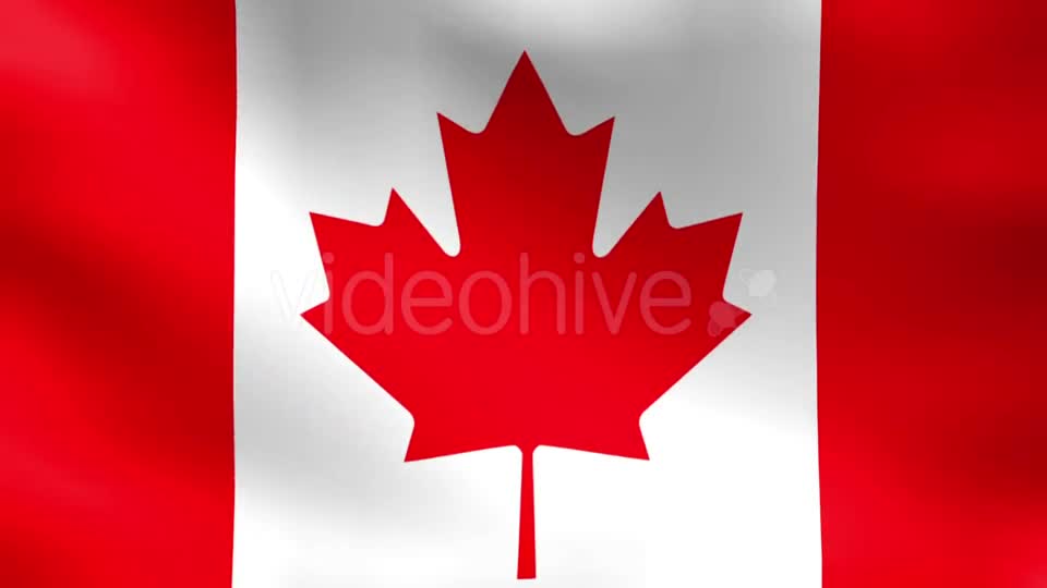 Canada Flag Videohive 10228143 Motion Graphics Image 1