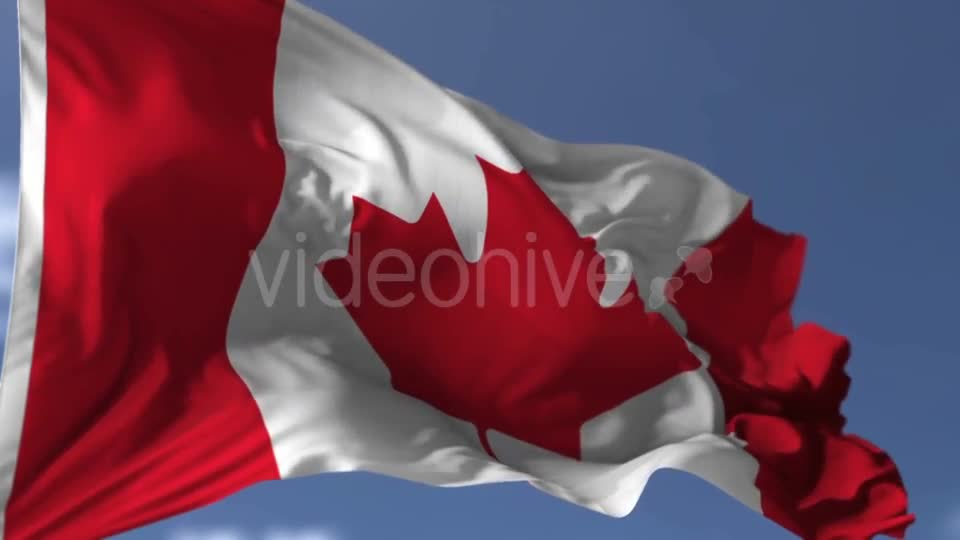 Canadian Blowing Flag Videohive 20038261 Motion Graphics Image 1
