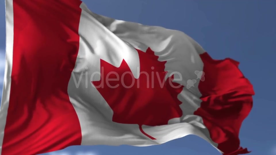 Canadian Blowing Flag Videohive 20038261 Motion Graphics Image 10