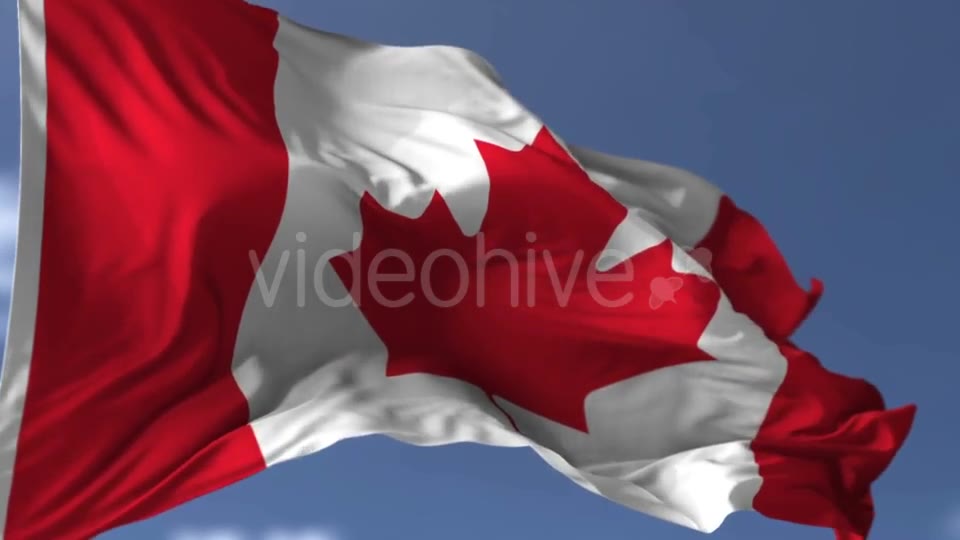 Canadian Blowing Flag Videohive 20038261 Motion Graphics Image 2