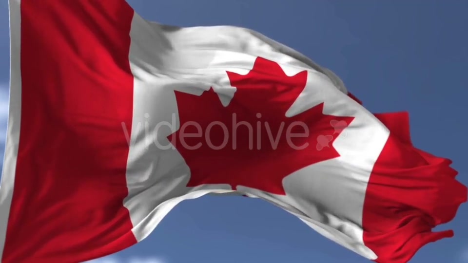 Canadian Blowing Flag Videohive 20038261 Motion Graphics Image 3