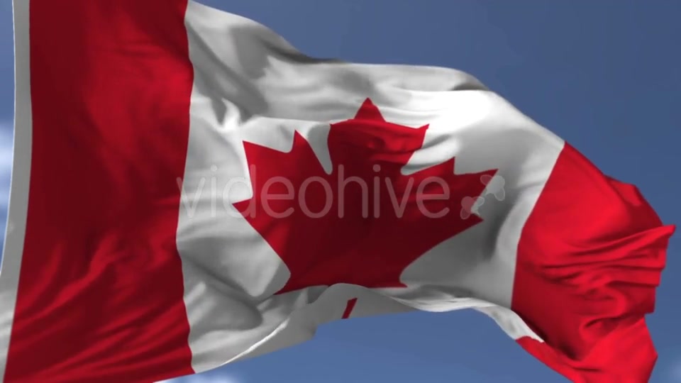 Canadian Blowing Flag Videohive 20038261 Motion Graphics Image 4