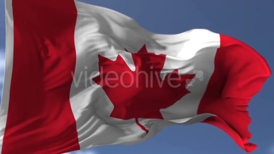 Canadian Blowing Flag Videohive 20038261 Motion Graphics Image 5