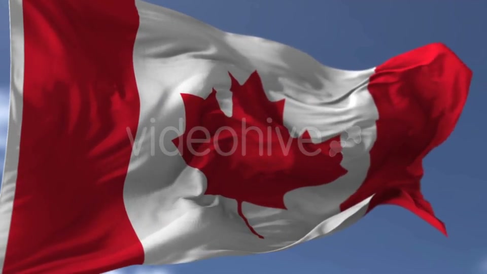 Canadian Blowing Flag Videohive 20038261 Motion Graphics Image 6