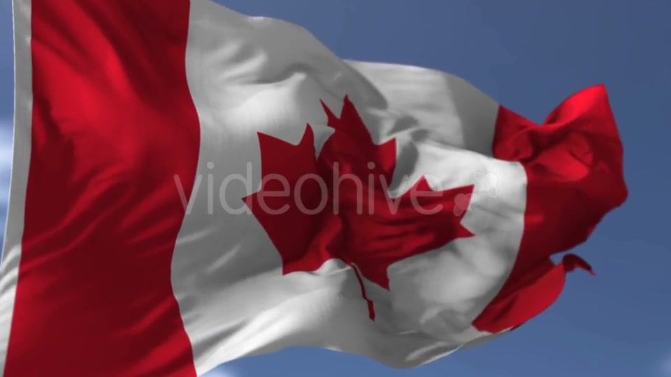 Canadian Blowing Flag Videohive 20038261 Motion Graphics Image 7
