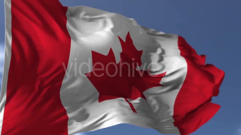 Canadian Blowing Flag Videohive 20038261 Motion Graphics Image 8