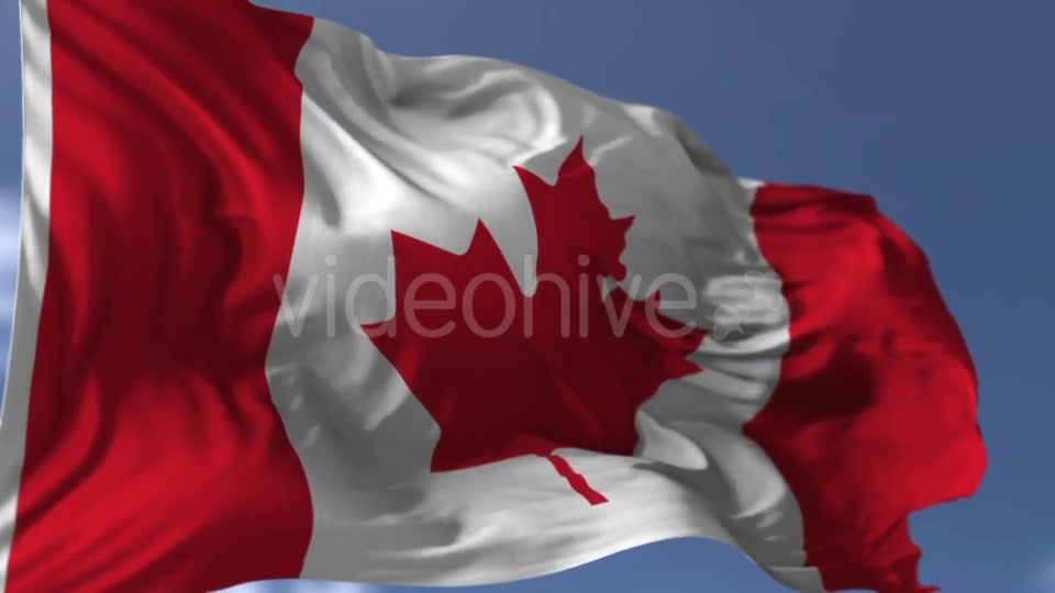 Canadian Blowing Flag Videohive 20038261 Motion Graphics Image 9